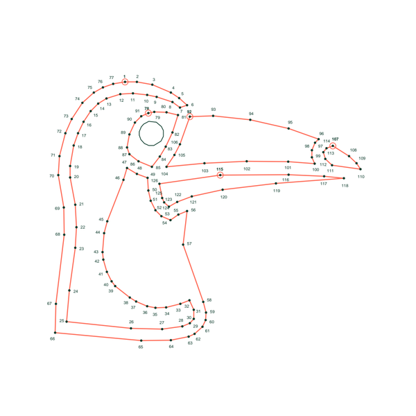 Toucan dot to dot (126 dots) preview